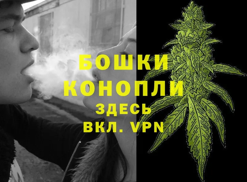 МАРИХУАНА SATIVA & INDICA  Ельня 